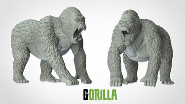Gorrila